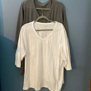 Woman Within set of 2- Vneck tees 3X